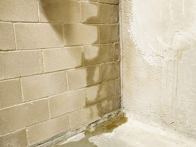 Solutions contre l'humidité des murs et du bâtiment